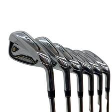 Tailor-Made Gloire 2014 5S Iron Set Ir Flex R