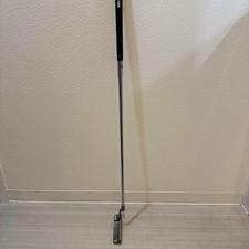 Pin Putter Answer2 16a